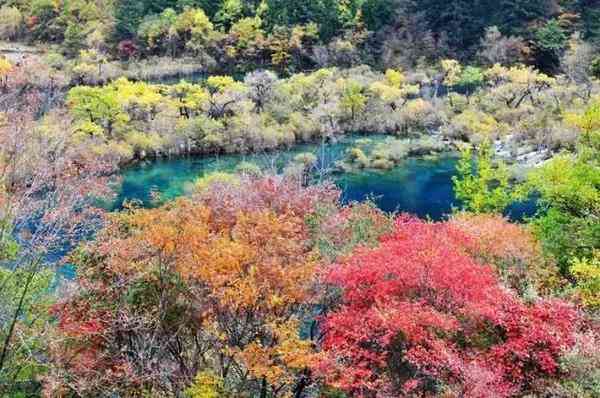 四川赏枫叶最全指南