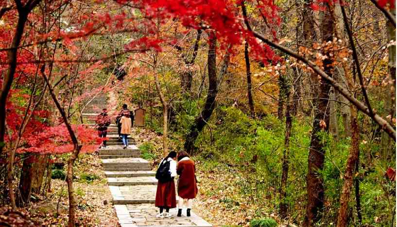 南京紫金山门票多少钱？紫金山景区有哪些风景看点