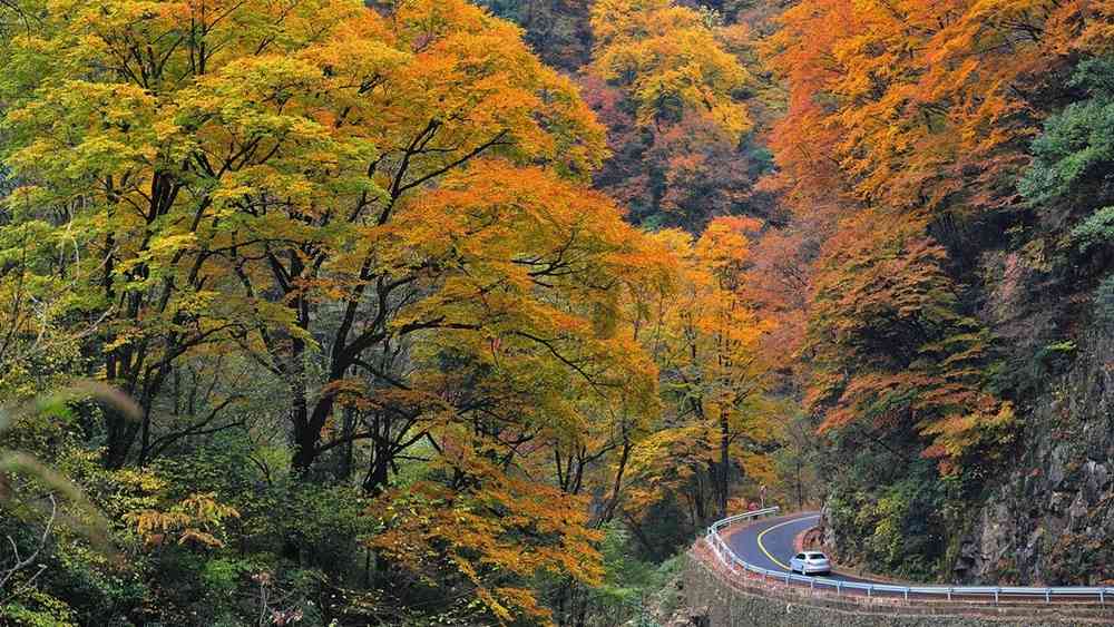 四川巴中光雾山有哪些景点