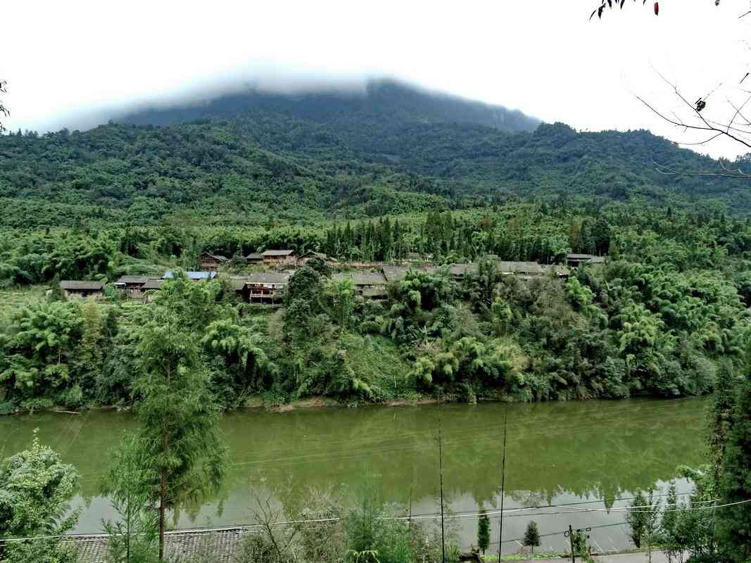 四川雅安周公山国家森林公园