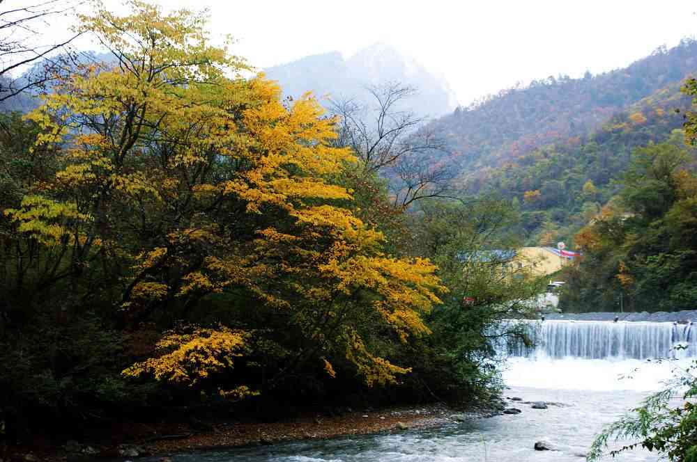 四川雅安喇叭河景区攻略