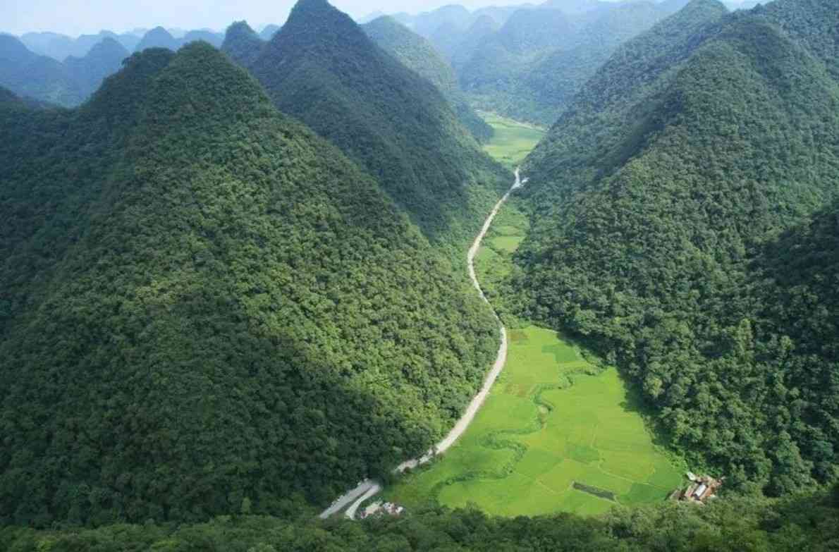 茂兰景区好玩吗？茂兰风景区游玩注意事项