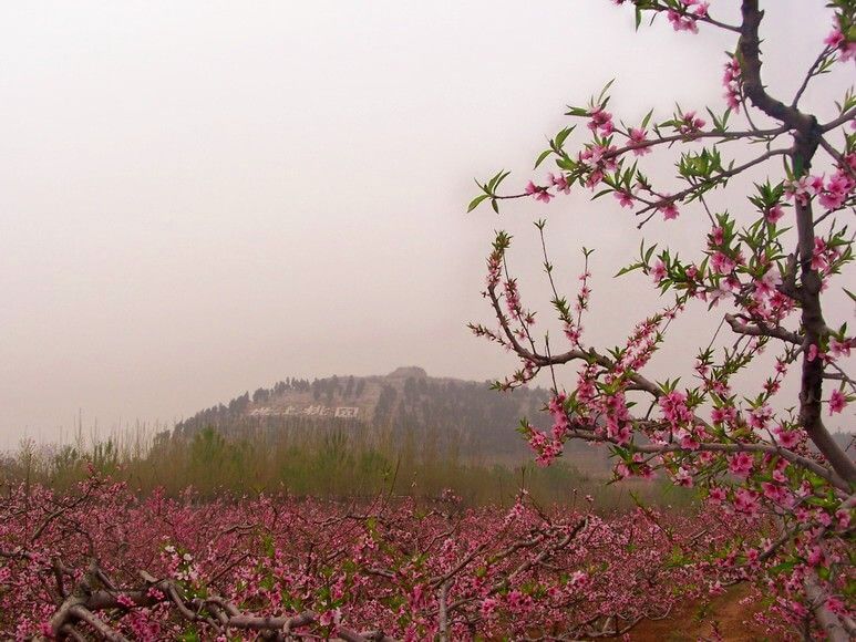 桃花源