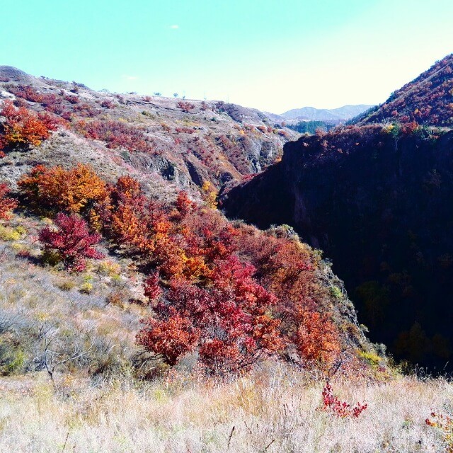 西拉沐沦大峡谷