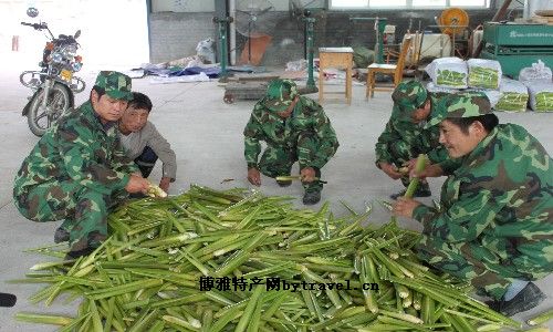 大别山茭白