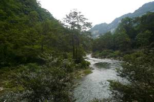 宜宾筠连茶马塘坝+春风村+清溪沟苗彝民俗风情二日游