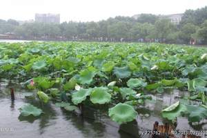 冬天去海南玩_冬天重庆到海南轻松三亚逸游海岛双飞五日游