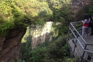 张家界、袁家界 、天子山汽车三日游（武汉出发、纯玩团）