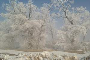 东北哪些旅游景点最好玩东北什么景点地方旅游好：太阳岛雪乡6日