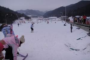 西柏坡温泉滑雪 白鹿温泉二日游|石家庄到西柏坡滑雪场路线