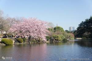 【东京旅游景点介绍】东京享自由5日游|北京到日本旅游线路报价