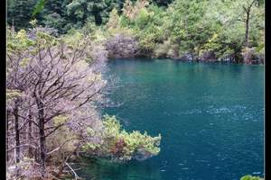 铂金峨眉—青岛去成都 九寨沟 牟尼沟 峨眉山乐山双飞七日