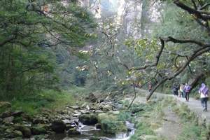 青岛到长沙 韶山 张家界 黄龙洞 土王府 至尊纯玩五日游