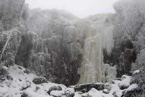 轿子雪山旅游|昆明出发轿子雪山一日游