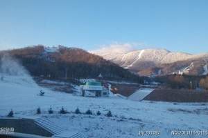 青岛到东北哈尔滨、亚布力、林海雪原双飞五日【独家线路】n