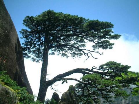 <黄山2日自助游>仅含往返交通及山上住宿