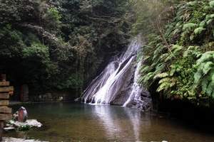 【特色游之夏日亲水游】遇龙河漂流、古东瀑布包车纯玩品质四日游