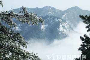 国际儿童节旅游的地方，张家界、袁家界、天子山、黄龙洞3日游